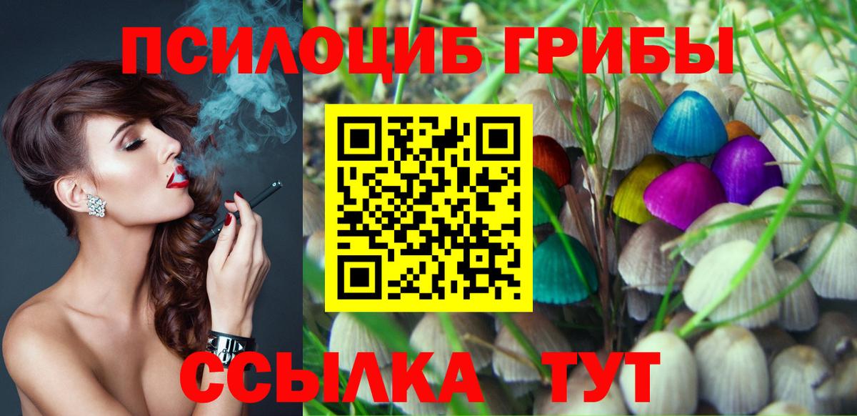 Краснокаменск  купить наркотики цена  Вход с VPN  Псилоцибиновые грибы Psilocybe 