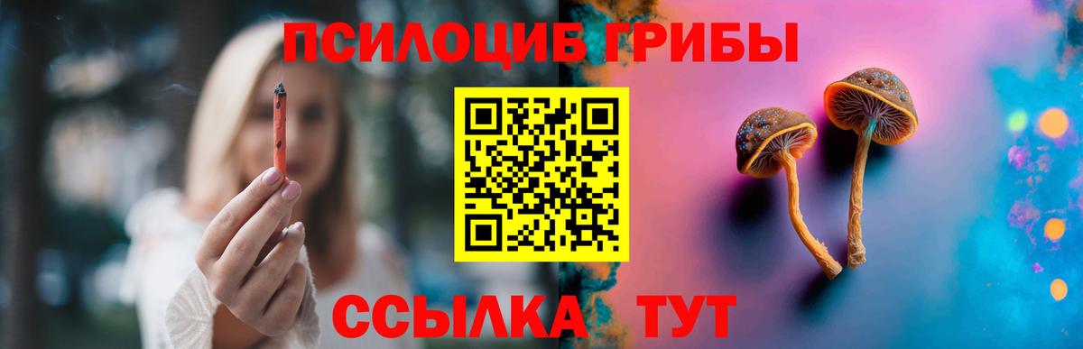 Псилоцибиновые грибы мухоморы Краснокаменск